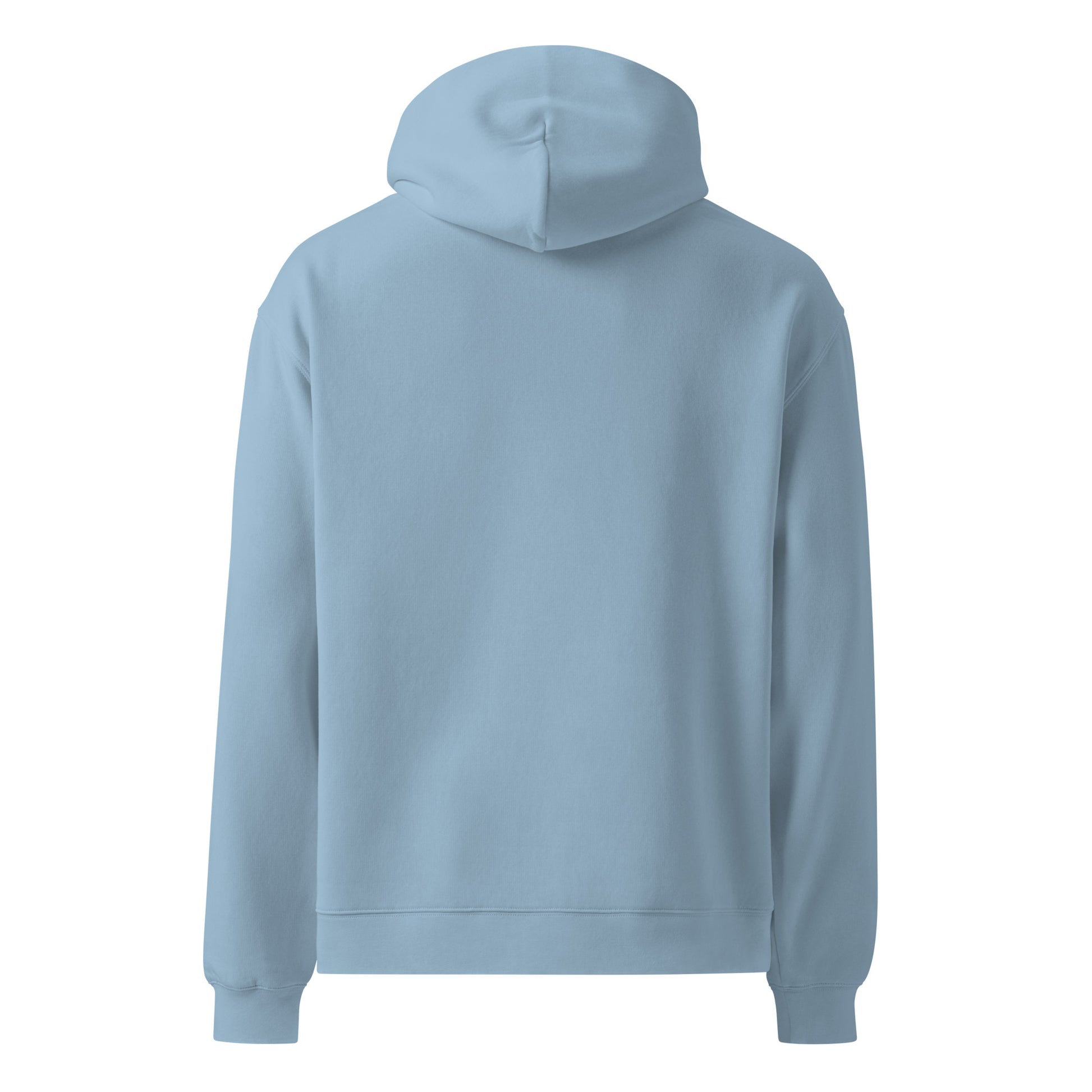 Back of a carolina blue hoodie against a white background