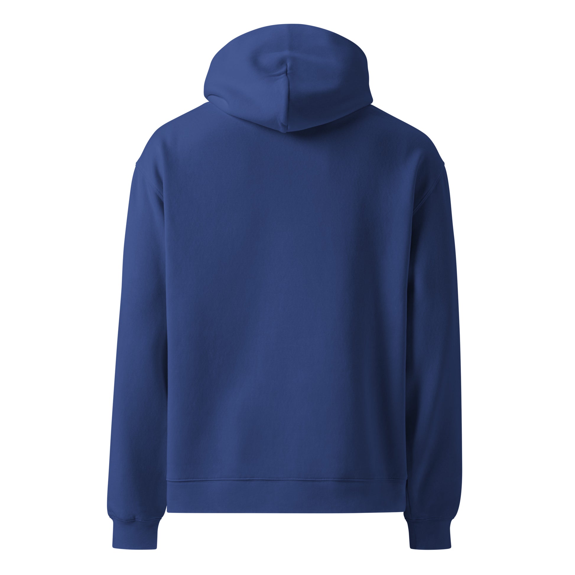 Back of Cobalt hoodie against white background